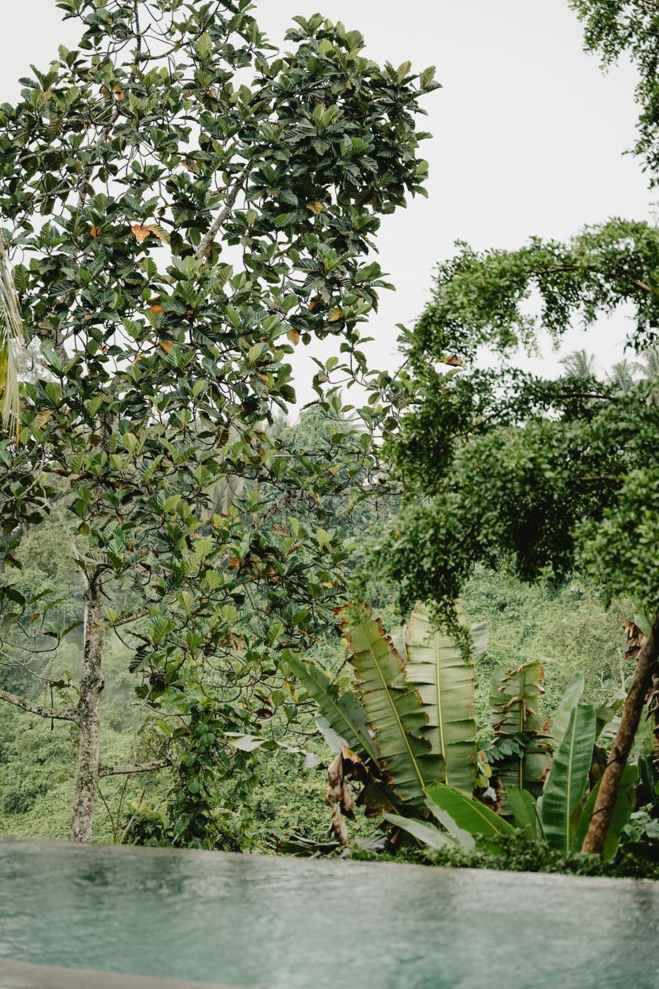 Lerosa Valley Resort Ubud  Exterior photo